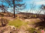 2566 Tuna Canyon Road - Photo 10