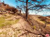 2566 Tuna Canyon Road - Photo 11