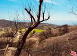 2566 Tuna Canyon Road - Photo 7