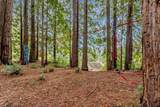 12845 Love Creek Road - Photo 52