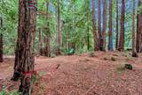 12845 Love Creek Road - Photo 54