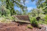 12845 Love Creek Road - Photo 56