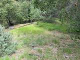 11 Little Uvas Road - Photo 21