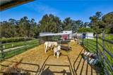 1498 O'connor Way - Photo 33