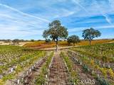 6520 Odonovan Road - Photo 8
