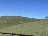 3343 Little Valley Rd Lot 4 - Photo 11