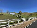 3343 Little Valley Rd Lot 4 - Photo 14
