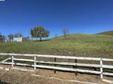 3343 Little Valley Rd Lot 4 - Photo 15