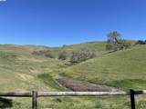 3343 Little Valley Rd Lot 4 - Photo 5