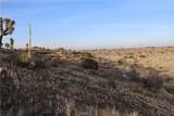 9955 Macron Street - Photo 12