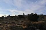 9955 Macron Street - Photo 13