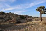 9955 Macron Street - Photo 15