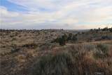 9955 Macron Street - Photo 24