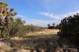 9955 Macron Street - Photo 3
