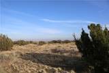 9955 Macron Street - Photo 6