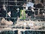 0 Canyon - Photo 8