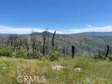 315 Harrison Springs Road - Photo 10