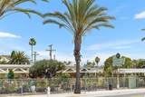 33782 Robles Drive - Photo 59