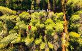 10 Roz Ln - Photo 5