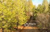 10 Roz Ln - Photo 7