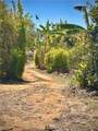 0 Las Palmeras Drive - Photo 22