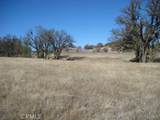 9505 Kelsey Creek Drive - Photo 2
