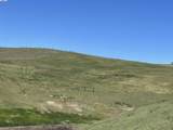 3343 Little Valley Rd Lot 1 - Photo 13