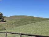 3343 Little Valley Rd Lot 1 - Photo 14
