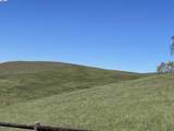 3343 Little Valley Rd Lot 1 - Photo 16