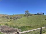 3343 Little Valley Rd Lot 1 - Photo 6