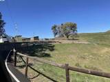 3343 Little Valley Rd Lot 1 - Photo 8