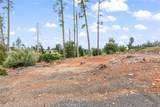 1032 Pearson Road - Photo 10