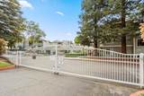 3443 Pepperwood Ter - Photo 38