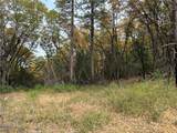 0 Bunker Hill Mine Rd - Photo 4