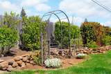 1869 Vineyard Drive - Photo 44
