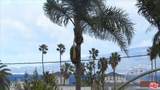 2311 4th Street - Photo 31