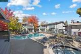 1036 Oak Grove Rd - Photo 46