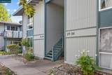 1036 Oak Grove Rd - Photo 50