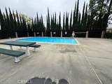 981 Calle Del Sol - Photo 5