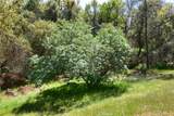 44410 Quail Court - Photo 48