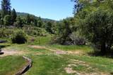 50366 Road 420 - Photo 36