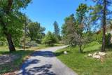 50366 Road 420 - Photo 45