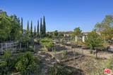 21757 Bene Drive - Photo 38