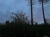 1 Hog Ranch Road - Photo 4