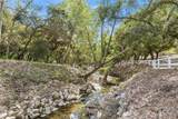 47100 Sandia Creek Drive - Photo 69