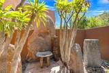 50741 Desert Arroyo Trail - Photo 81
