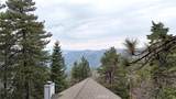 30904 Live Oak Drive - Photo 6