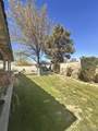43432 Bale Ct - Photo 13