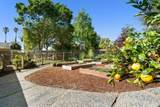 2975 Mattison Lane - Photo 45