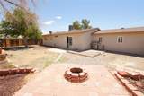 21018 Little Beaver Road - Photo 19